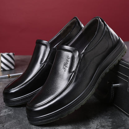 Zapatos - Elegancia y Comodidad en Cada Paso